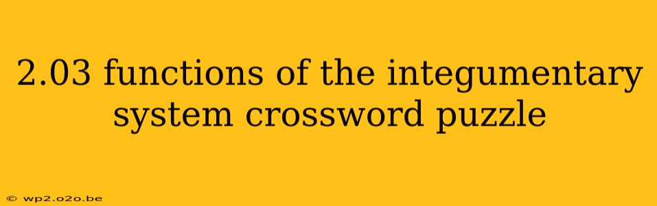 2.03 functions of the integumentary system crossword puzzle