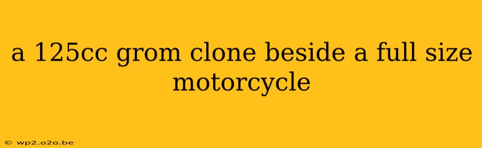 a 125cc grom clone beside a full size motorcycle