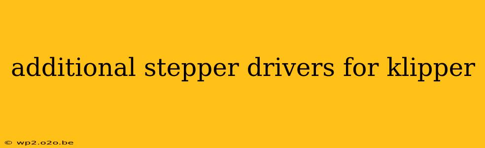 additional stepper drivers for klipper