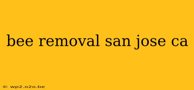 bee removal san jose ca