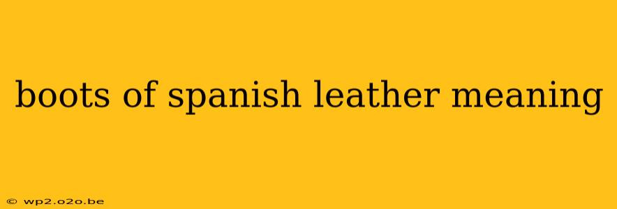 boots of spanish leather meaning