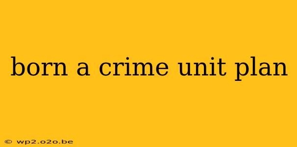 born a crime unit plan