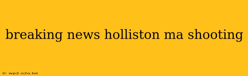 breaking news holliston ma shooting