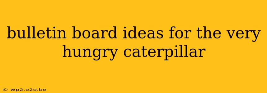 bulletin board ideas for the very hungry caterpillar