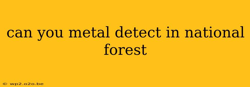 can you metal detect in national forest