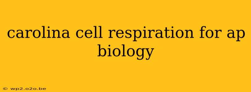 carolina cell respiration for ap biology