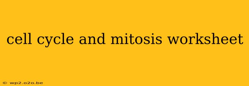 cell cycle and mitosis worksheet