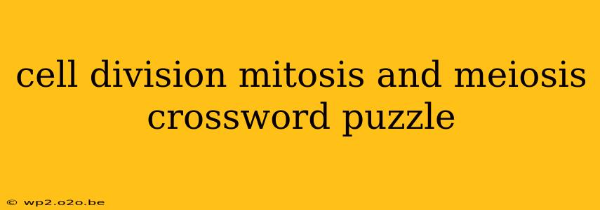 cell division mitosis and meiosis crossword puzzle