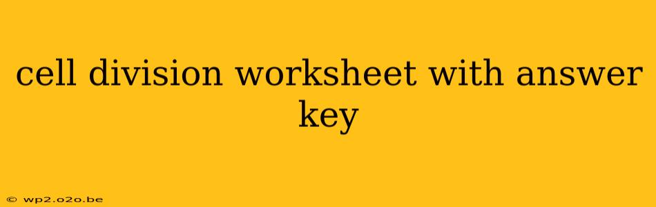 cell division worksheet with answer key