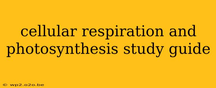 cellular respiration and photosynthesis study guide