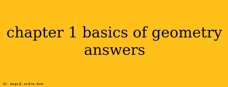 chapter 1 basics of geometry answers