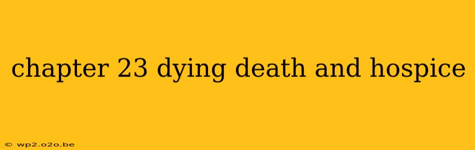 chapter 23 dying death and hospice