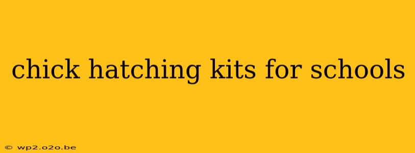 chick hatching kits for schools