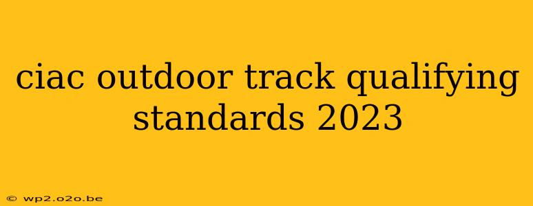 ciac outdoor track qualifying standards 2023