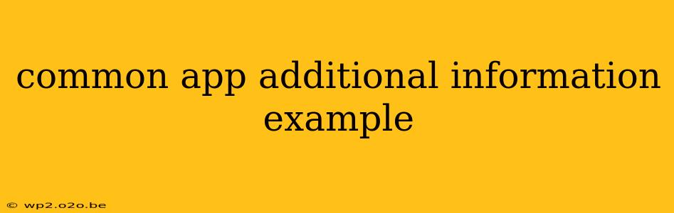 common app additional information example