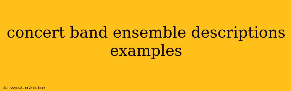 concert band ensemble descriptions examples