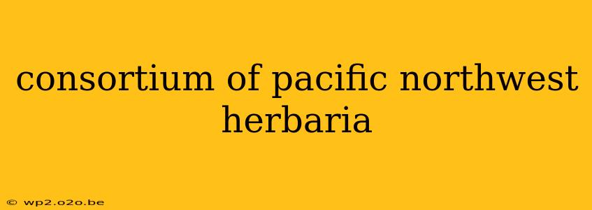 consortium of pacific northwest herbaria