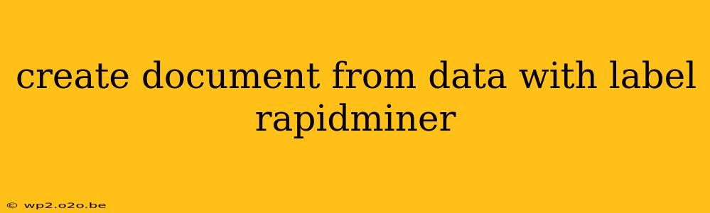 create document from data with label rapidminer