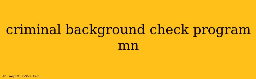 criminal background check program mn