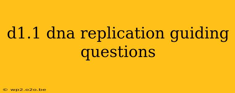 d1.1 dna replication guiding questions