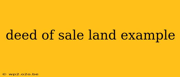 deed of sale land example