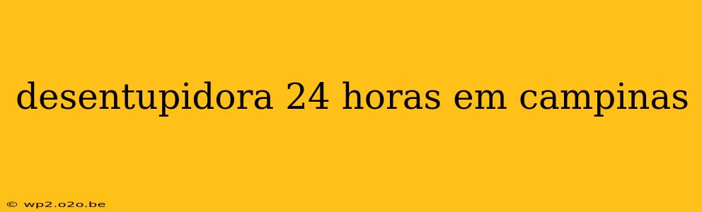 desentupidora 24 horas em campinas