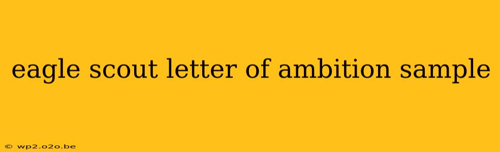 eagle scout letter of ambition sample