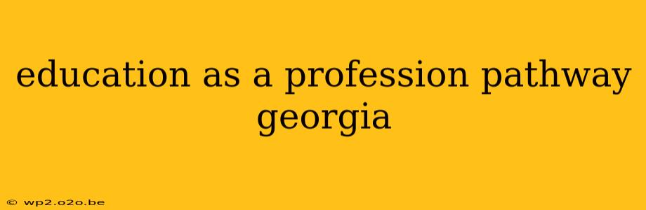 education as a profession pathway georgia