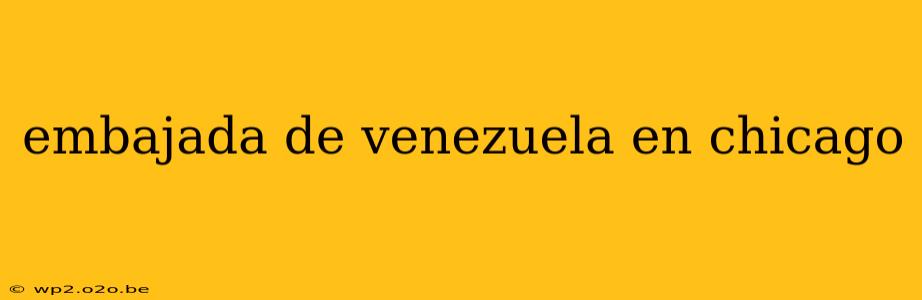 embajada de venezuela en chicago