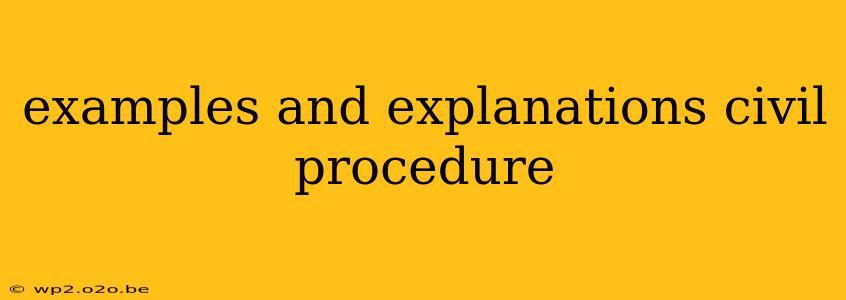 examples and explanations civil procedure