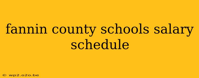 fannin county schools salary schedule