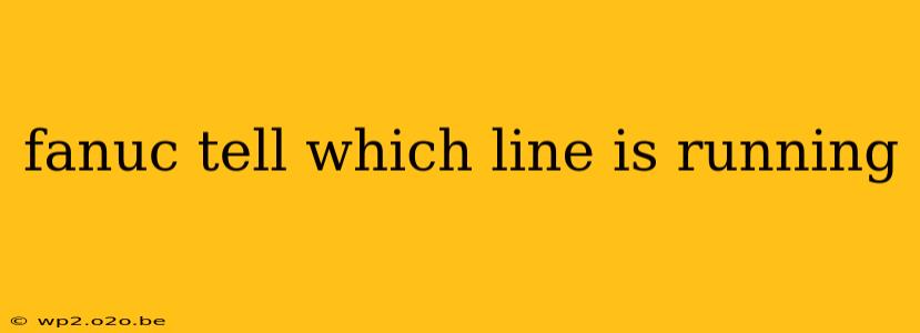 fanuc tell which line is running