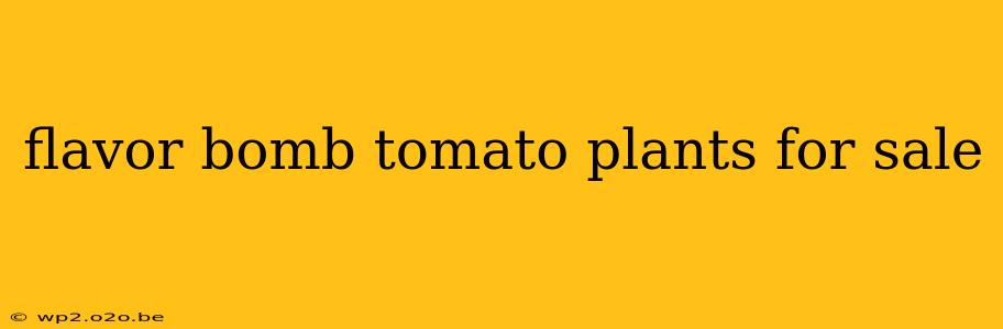 flavor bomb tomato plants for sale