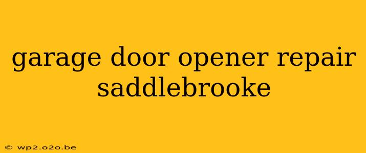 garage door opener repair saddlebrooke