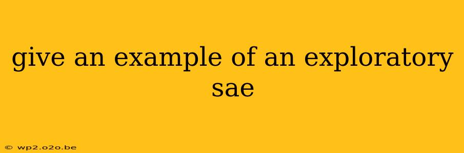 give an example of an exploratory sae