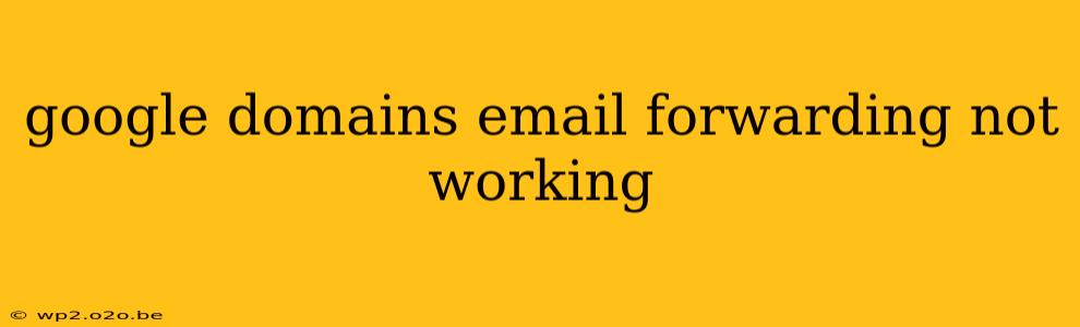 google domains email forwarding not working