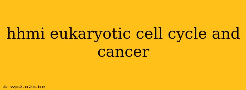 hhmi eukaryotic cell cycle and cancer