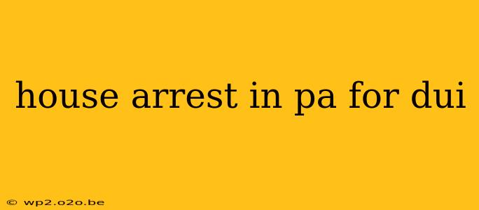 house arrest in pa for dui