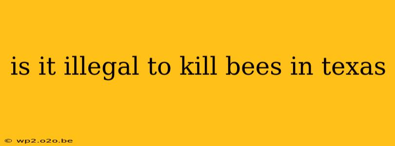 is it illegal to kill bees in texas