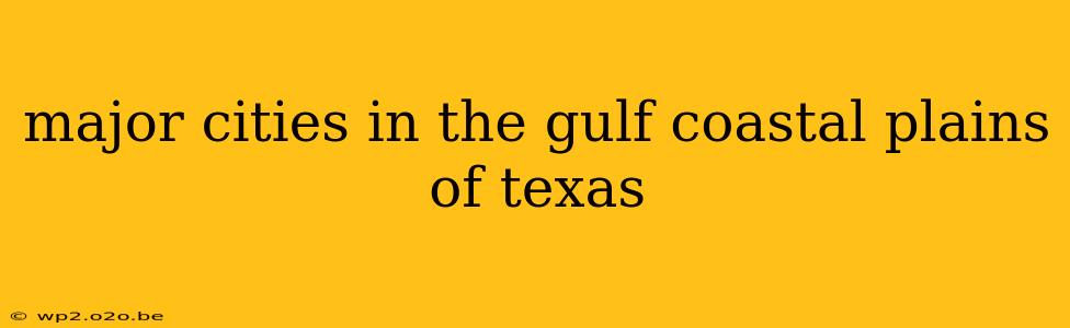 major cities in the gulf coastal plains of texas