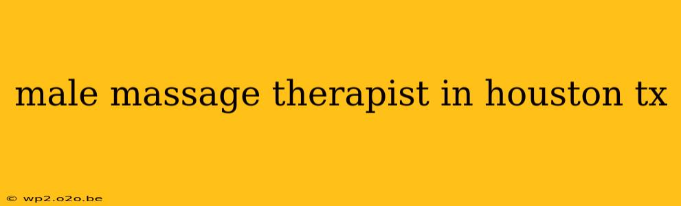 male massage therapist in houston tx