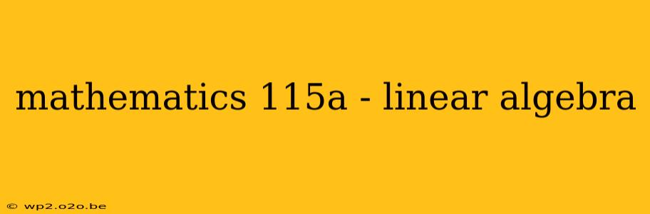 mathematics 115a - linear algebra