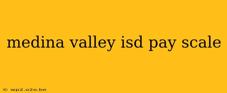 medina valley isd pay scale