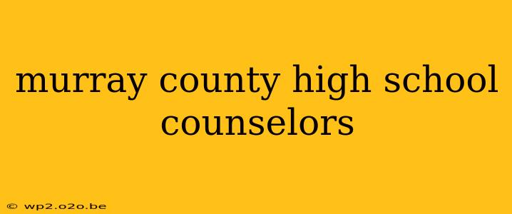 murray county high school counselors