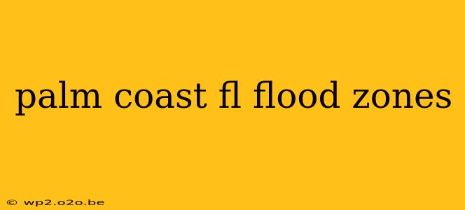 palm coast fl flood zones