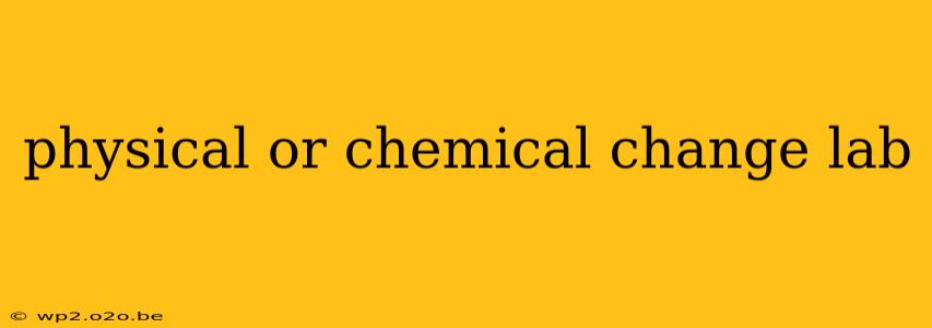 physical or chemical change lab