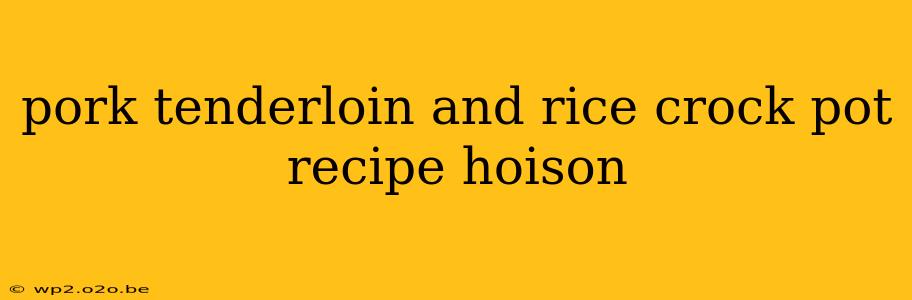 pork tenderloin and rice crock pot recipe hoison