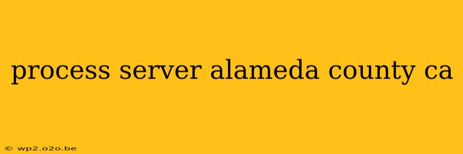 process server alameda county ca