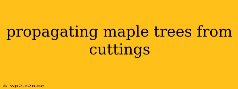 propagating maple trees from cuttings