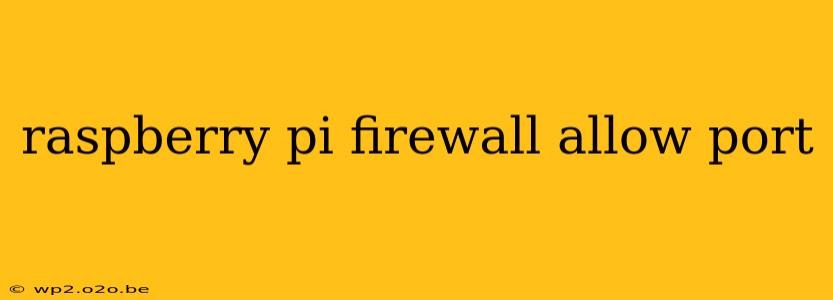 raspberry pi firewall allow port